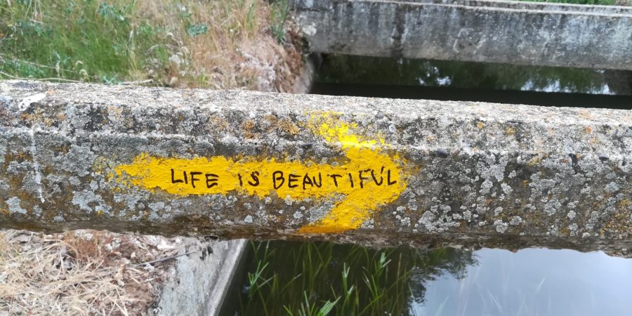 life is beautiful